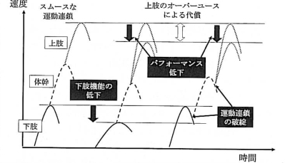 図3. 投球フォームの運動連鎖 (岩堀, MB Orthop, 2007)